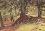 Richard Redgrave,RA Parkhurst Woods,Abinger (mk46) oil painting artist